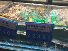 -麦德龙(虹口江湾店)