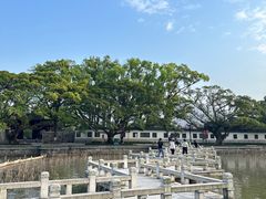 -江心屿景区