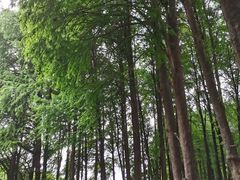 -沙河粉村·国家非遗传承(云台店)