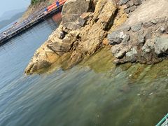-千岛湖城中湖游船码头