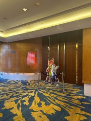 -上海浦东喜来登由由大酒店·宴会厅