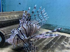 -欢乐海岸海洋奇梦馆