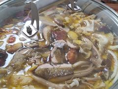 -菌极鲜野生菌火锅店(阳明祠店)