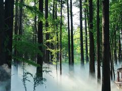 -东湖落雁景区