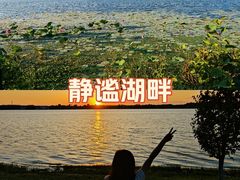 -丁香湖公园