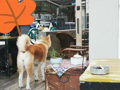 -餐酒吧Com-ing Bar(上海路店)