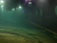 -白鹤梁水下博物馆