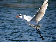 -海合安武汉极地海洋公园