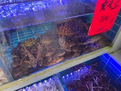 -金海湾海鲜排档(朱家尖店)