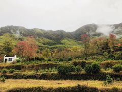 -塔川景区