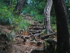 -青龙山国家森林公园