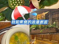 -叶叶菩提(太原别墅店)