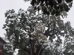 -中岳庙