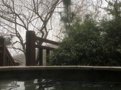 -徂徕山森林康养度假谷温泉