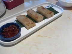 -点都德·毕德寮