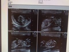 -瑞派·关忠动物医院·异宠专科·犬猫肿瘤·皮肤专科(望京店)