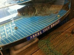 -北大荒淡水鱼馆(秀水广场店)
