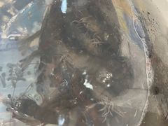 -盒马鲜生(西城时代店)