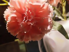 餐具摆设-蜜桃餐厅·江浙融合菜(荟聚购物中心店)