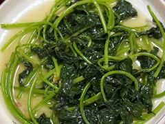 -麻奢鸽农庄·梦里水乡