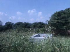 -梁鸿国家湿地公园