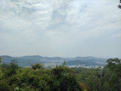 -火炉山森林公园