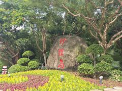 -野狸岛