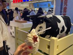 -红星前进面包牛奶公司(君太店)