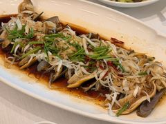 油泼竹蛏-开海·红岛海鲜虾水饺(石老人店)