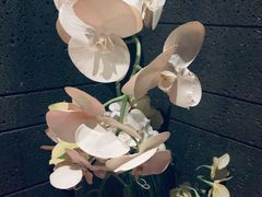 -106餐厅(山水文园店)