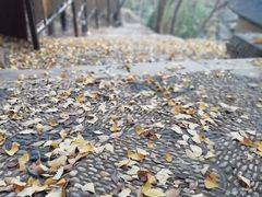 -雨花胜境