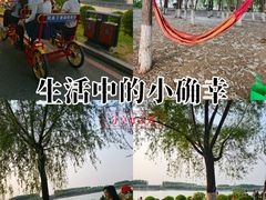 -丁香湖公园