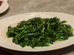 -锦江都城闵行饭店