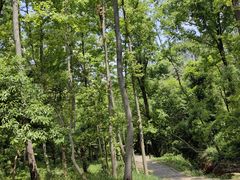 -青龙山国家森林公园