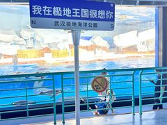 -海合安武汉极地海洋公园