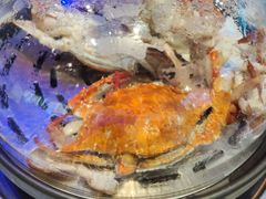 -半岛听涛蒸汽海鲜自助(K11店)