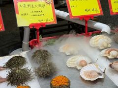 -蚝专家(北滘店)