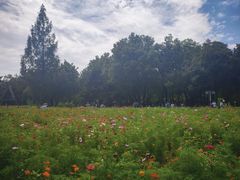 -北京世界公园