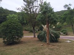 -南山风景名胜区