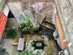 -汴河街