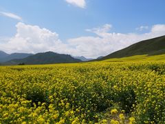 -扁都口生态休闲旅游区
