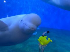 -泉城欧乐堡海洋极地世界