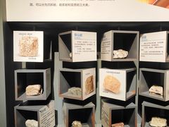 -湖南省地质博物馆