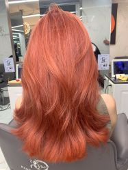 -潘多拉Hairsalon
