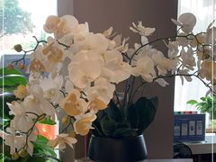 -如家酒店·neo(南京夫子庙店)