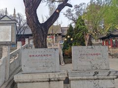 -文瀛公园