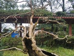 -南山植物园