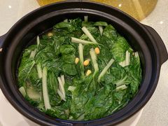 -锦粤宫·精致粤菜(阳西店)
