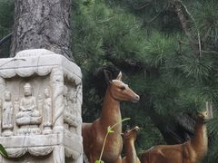 -龙华寺
