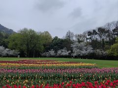 -八卦田遗址公园